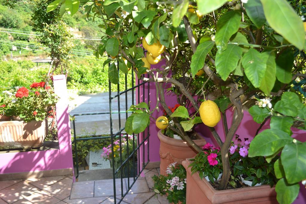 Casa Nobile Bed & Breakfast Tovo San Giacomo Екстериор снимка